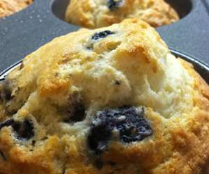 blueberry muffins